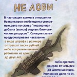 Дмитриев_Николай