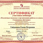 Сертификат ГайдамакаЕП вебинар