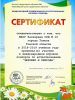 Наши результаты на международном игровом конкурсе «Человек и Природа»