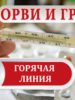 В период с 3 по 14 октября 2022 года работает «горячая линия» по вопросам профилактики гриппа и ОРВИ